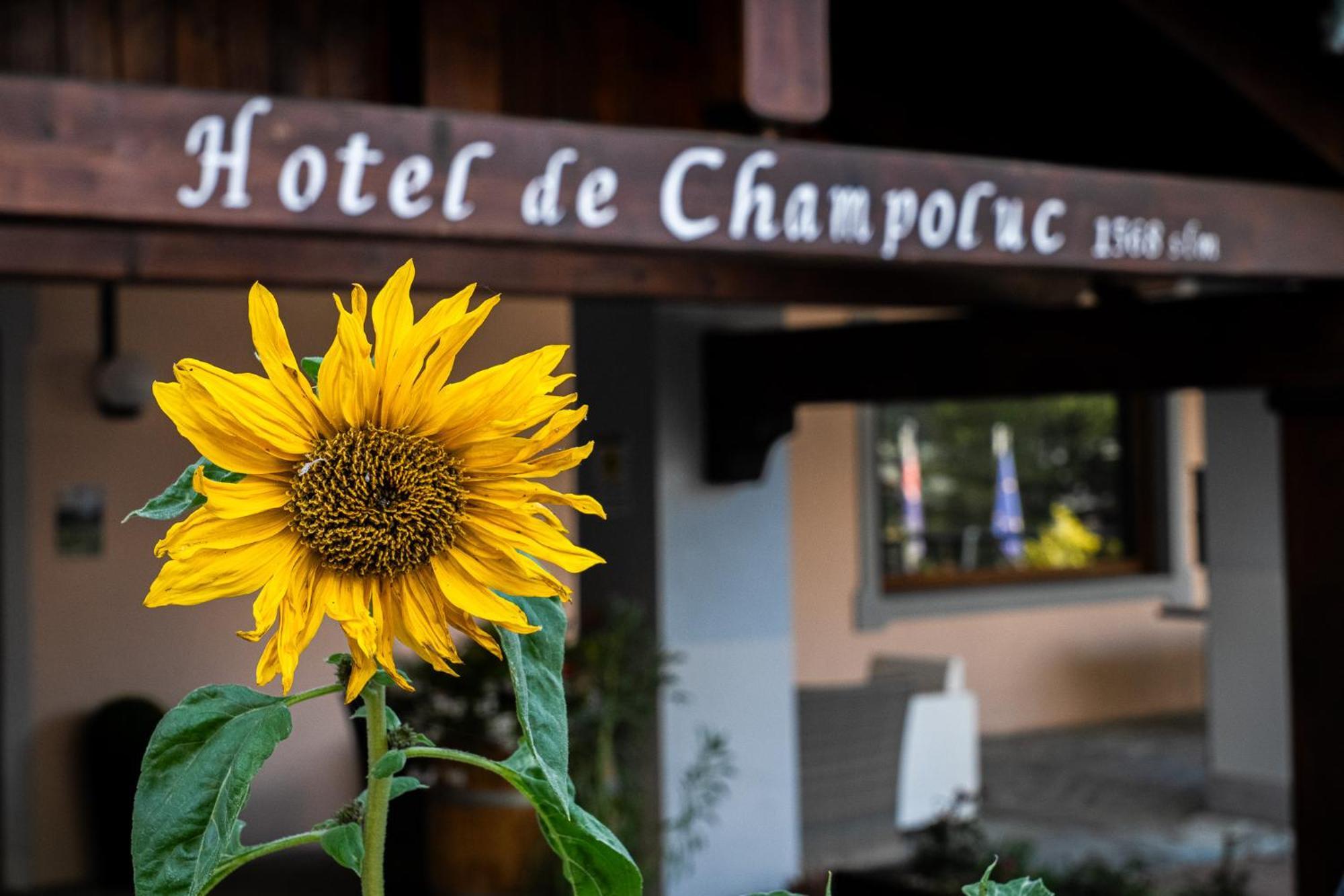 Hotel De ชัมโปลุก ภายนอก รูปภาพ